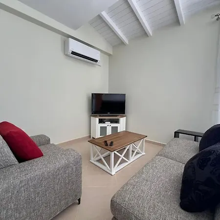 New Modern In